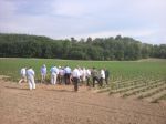 Na polach "Agrosmak TOP-Farm"